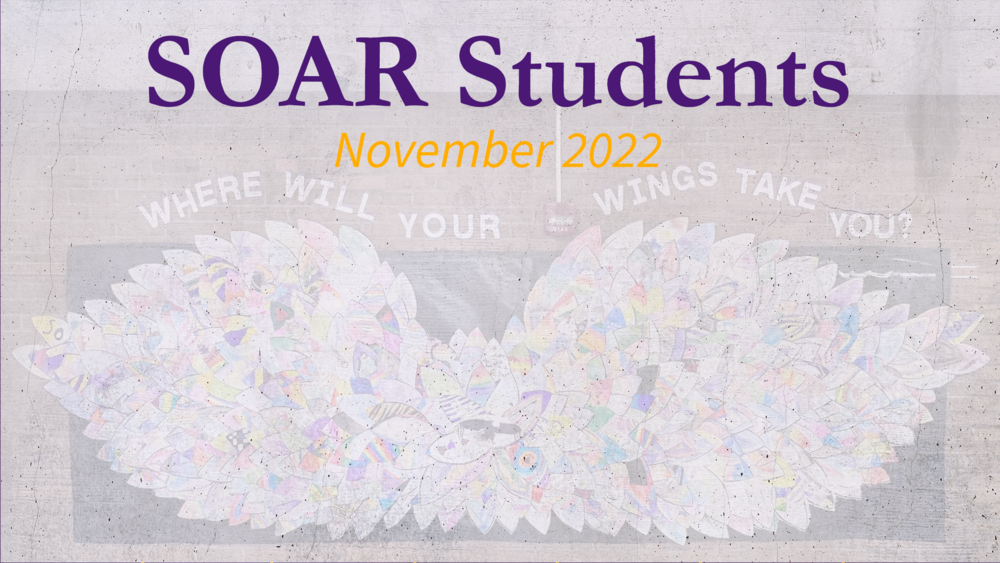 SOAR students graphic