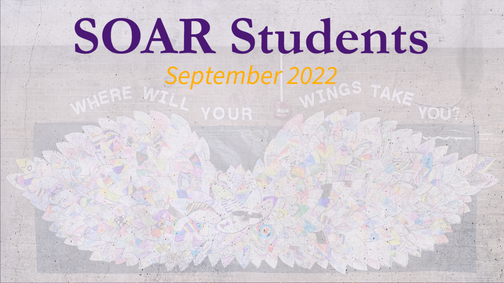 SOAR students graphic