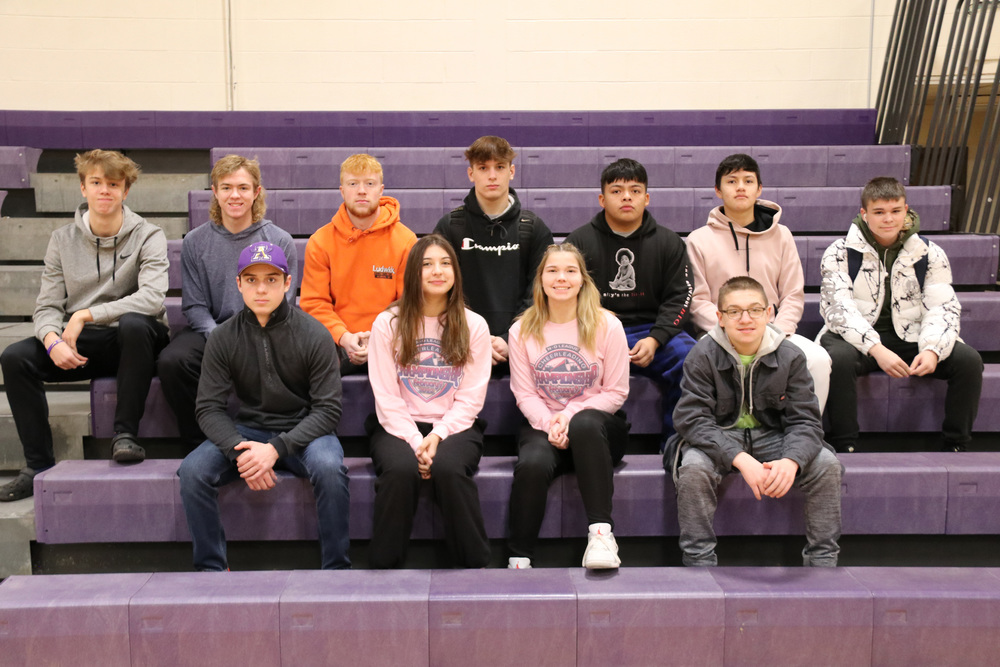 individual scholar athletes
