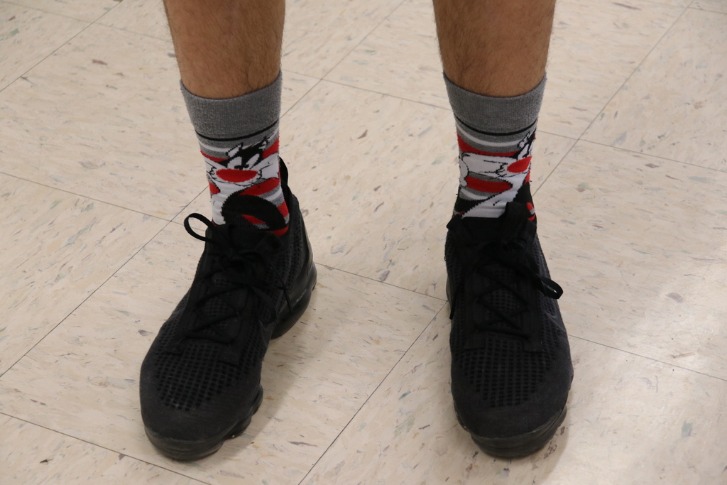 Sylvester socks