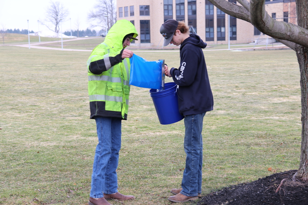 students pour fresh sap into a bucket