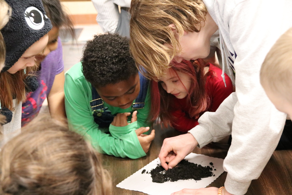 students look at worms in dirt