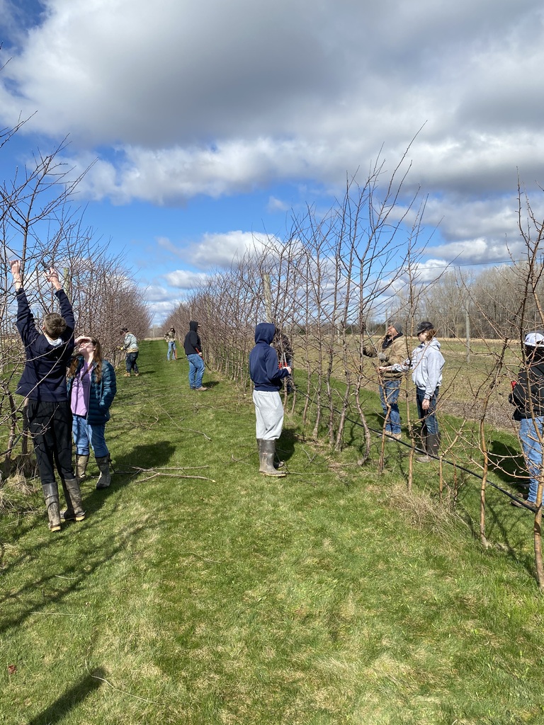 students pruning trees