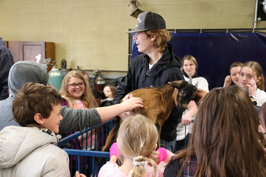 students pet a goat