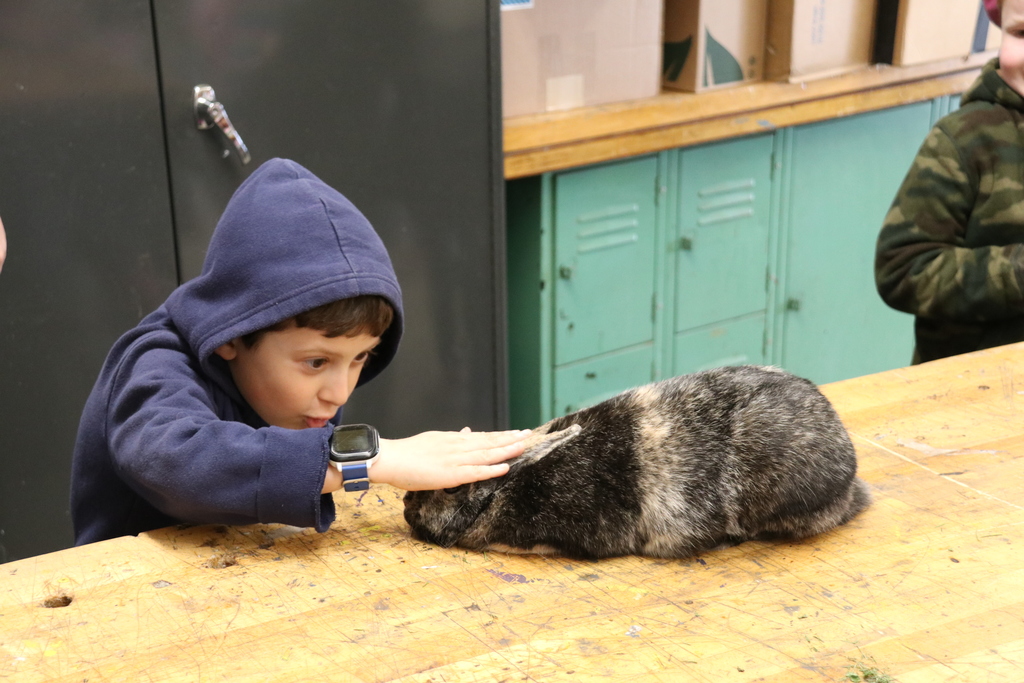 a student pets a rabbit