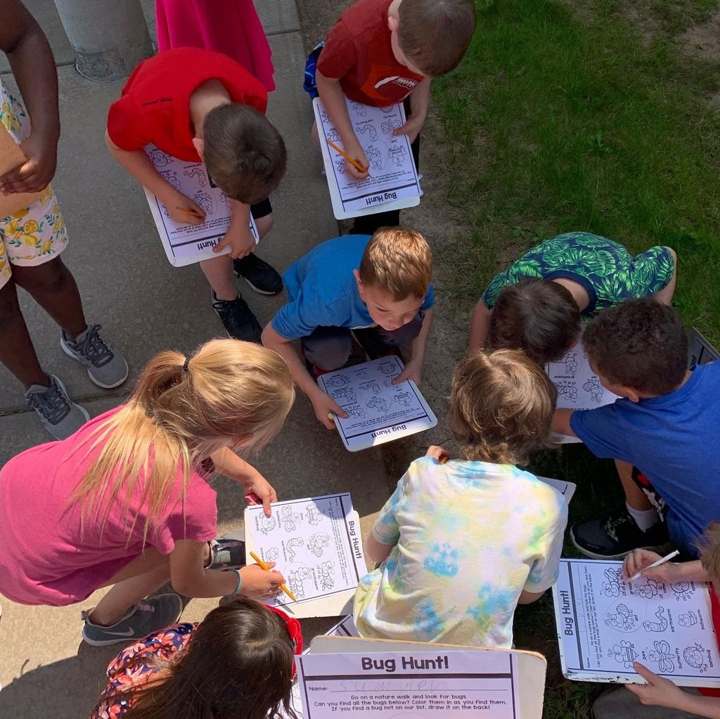 students work on their bug hunt
