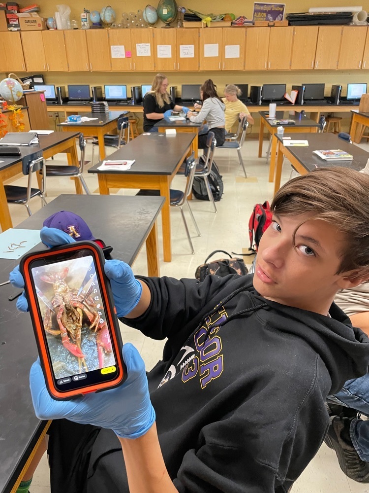 student showing the dissection